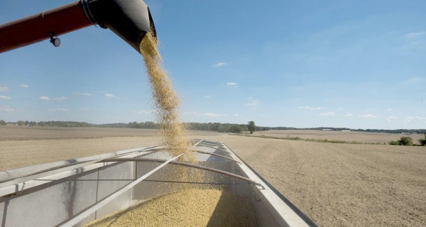 Ministre de l’Agriculture : « le marché algérien à l’abri des fluctuations des prix au marché mondial »
