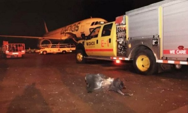 L’Algérie condamne l’attaque ayant ciblé l’aéroport d’Abha en Arabie Saoudite