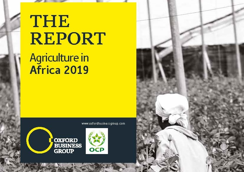 Afrique : « un immense potentiel agricole à exploiter »