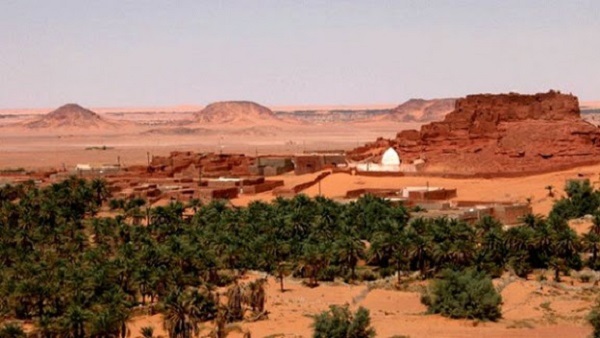 Préservation de la biodiversité dans les parcs culturels à Adrar : Le projet exposé aux médias