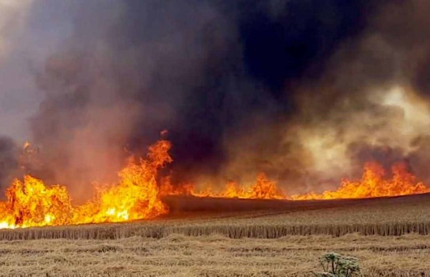 SETIF : 35 hectares de blé ravagés par les flammes