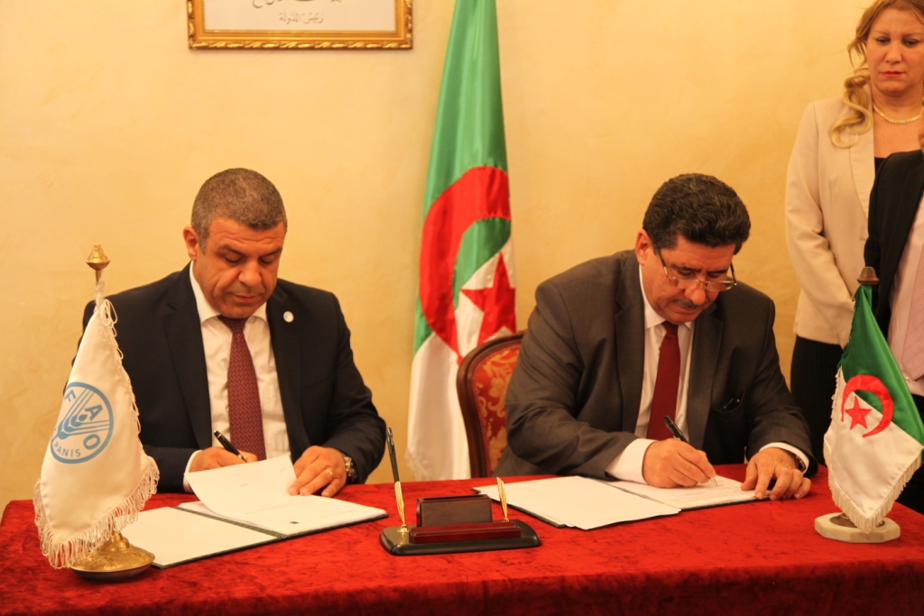 Agriculture : signature du cadre de la programmation par pays entre l’Algérie et la FAO