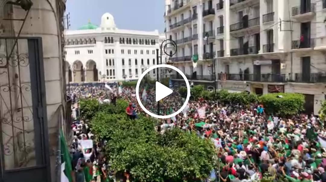 Marée humaine à Alger centre pour une nouvelle indépendance !