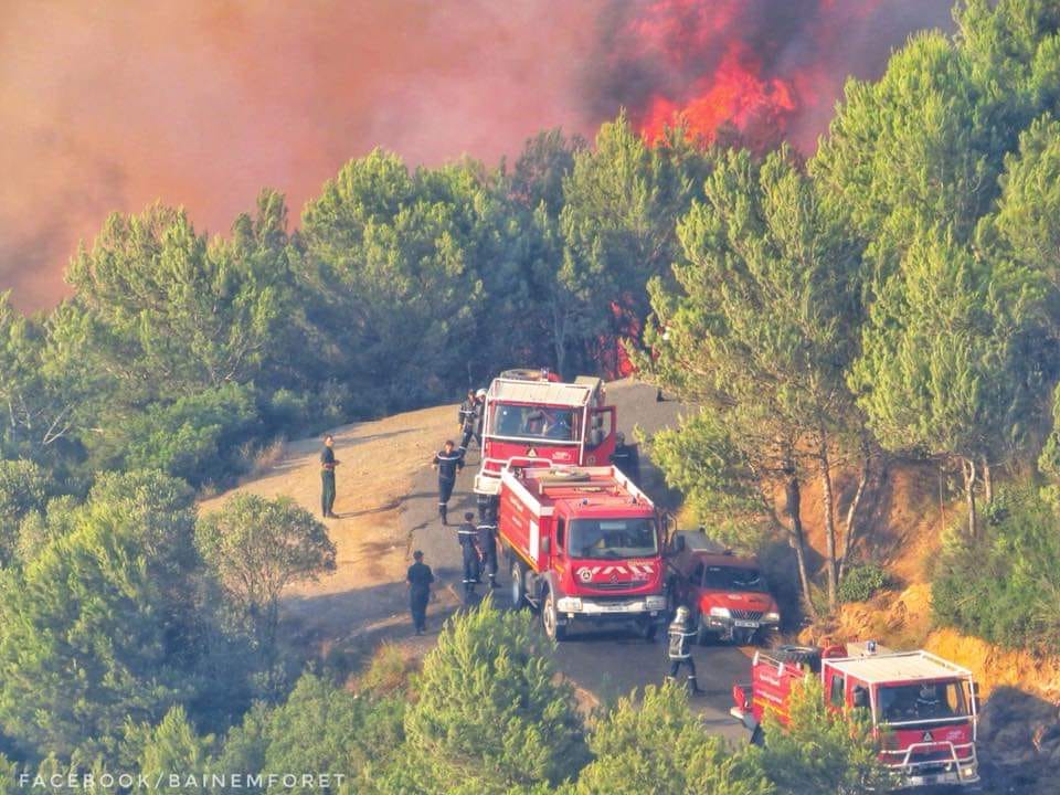 Incendie à la forêt de Baïnem, la protection civile mobilisée