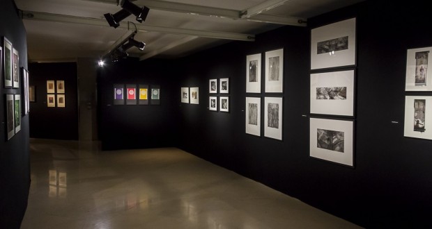 Alger : Des photogravures d’artistes japonais exposées