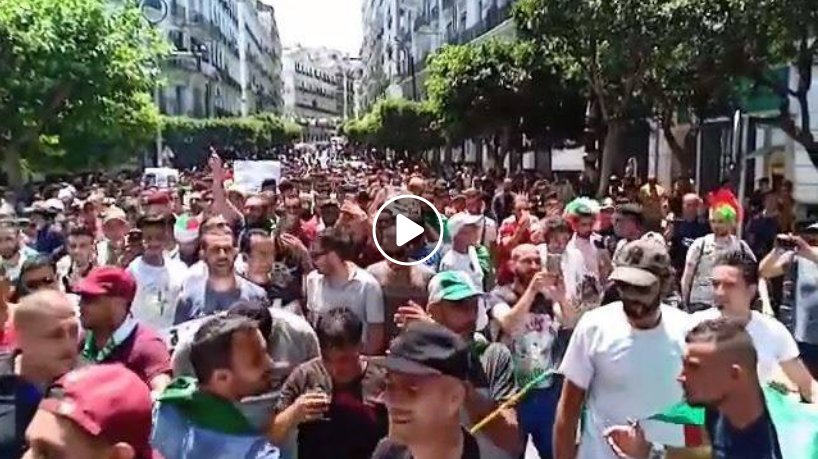 Des milliers de manifestants scandent des slogans anti-Gaïd Salah