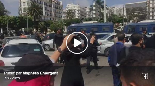 Vidéo : Rassemblement des avocats à Alger pour la libération des détenus d’opinion