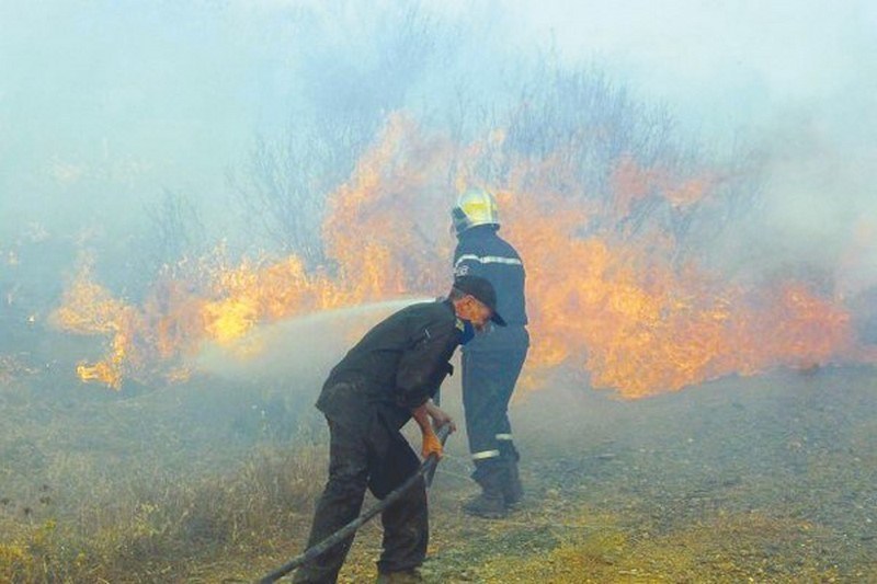 Bouira : Deux unités d’élevage avicole ravagées par un incendie à Lakhdaria