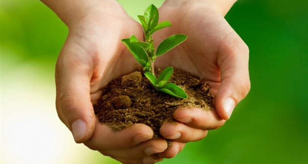 Utilisation en ligne des techniques de sensibilisation à la protection de l’environnement : 30 étudiants de l’est du pays en formation à El-Tarf