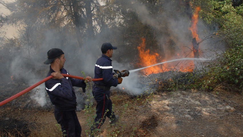 Plus d’une quarantaine d’incendies dans les montagnes  Tizi Ouzou brûle !
