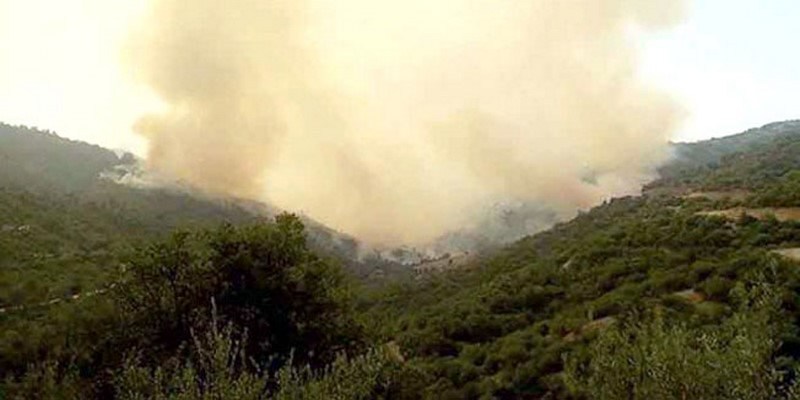 Tizi Ouzou : Face aux incendies de forêt, une cellule de crise