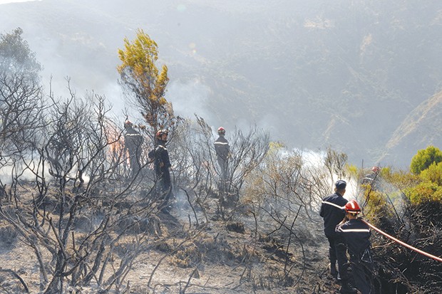 Des hélicoptères bombardiers d’eau ont été mobilisés à Tizi Ouzou : 300 hectares de couvert végétal ravagés par le feu en 48 heures