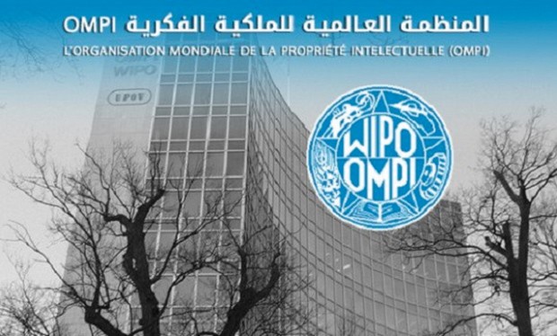 Indice mondial 2019 de l’innovation de l’OMPI : L’Algérie chute à la 113e place