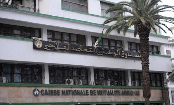 La microfinance, nouveau mécanisme de la CNMA pour accompagner agriculteurs et éleveurs