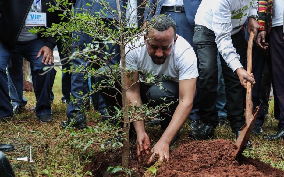 L&rsquo;Ethiopie plante plus de 350 millions d&rsquo;arbres en 12 heures, un record