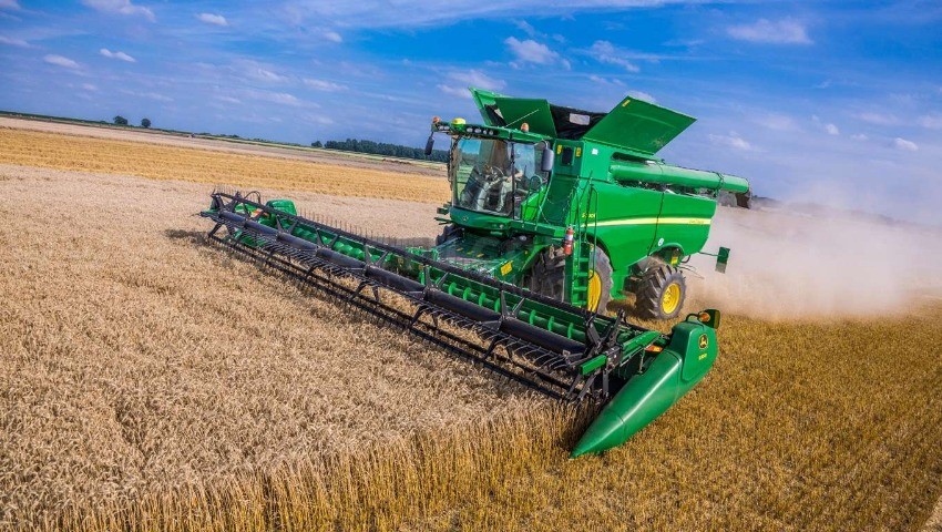 El Oued : Une production céréalière de 232.007 quintaux