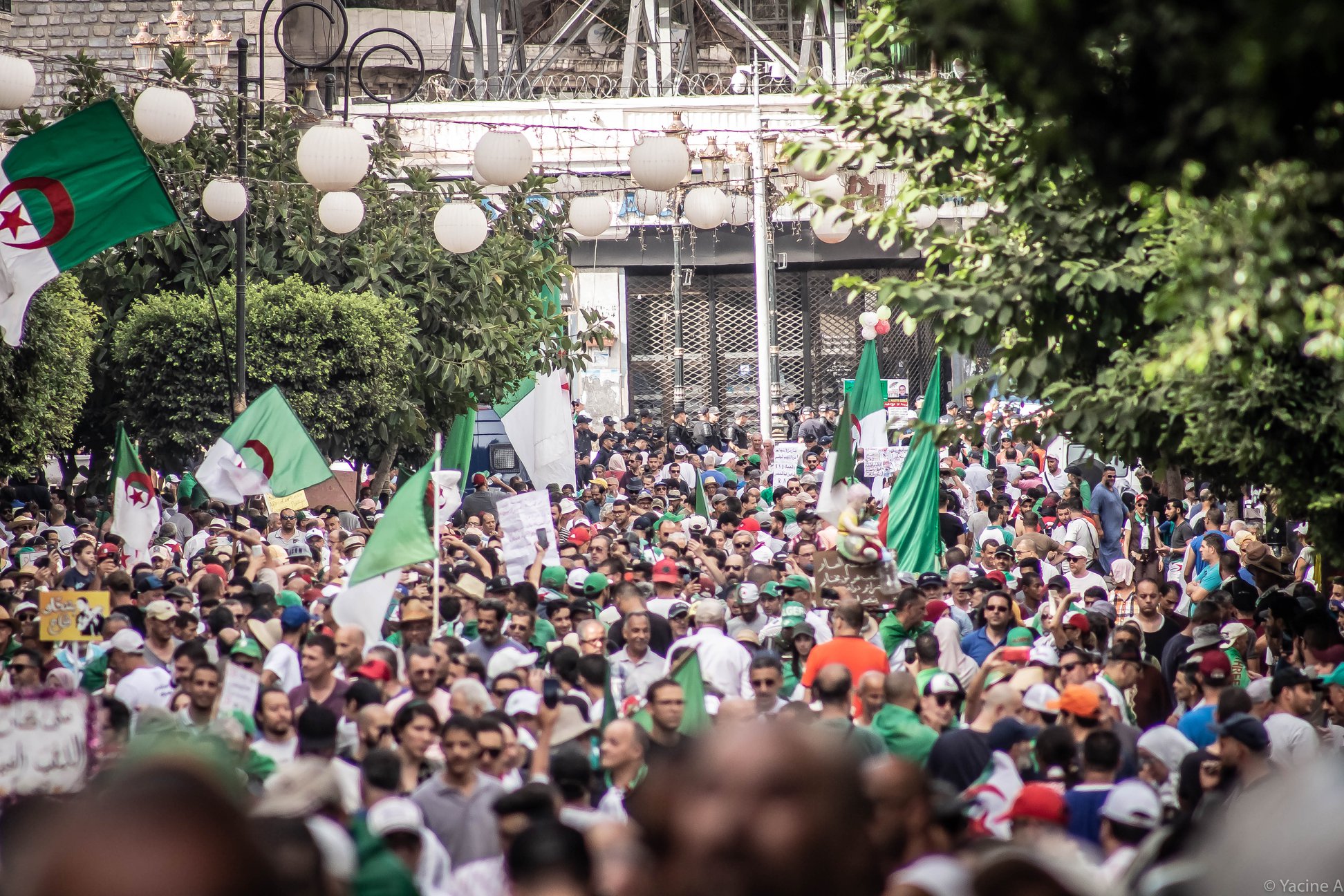 Plus belles photos du 25e vendredi à Alger par Yacine Aouli