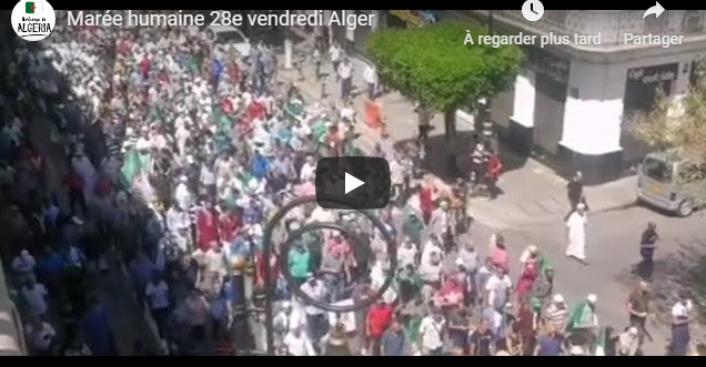 Une marée humaine se dirige vers le centre d’Alger !