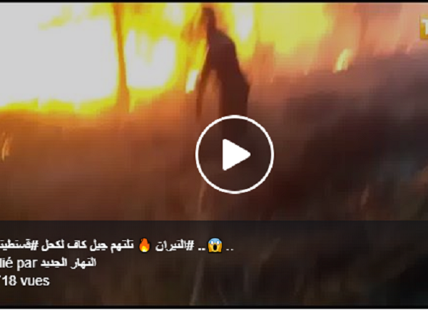 Vidéo : Un énorme incendie ravage la forêt de Djebel El Ouahch à Constantine