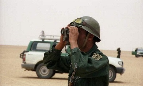 24 individus arrêtés et plus de 2kg de kif traité saisis