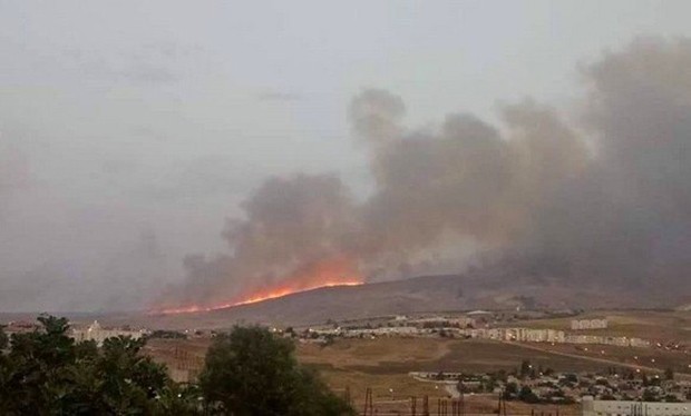 Constantine : Les feux ont repris à la forêt de Chettaba
