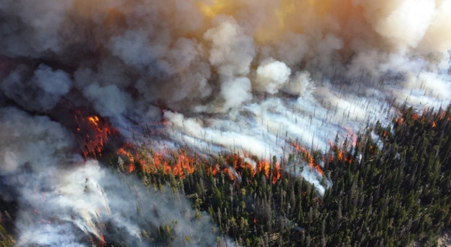Sibérie : l’Armée Russe éteint plus de 700 000 hectares de feux de forêt