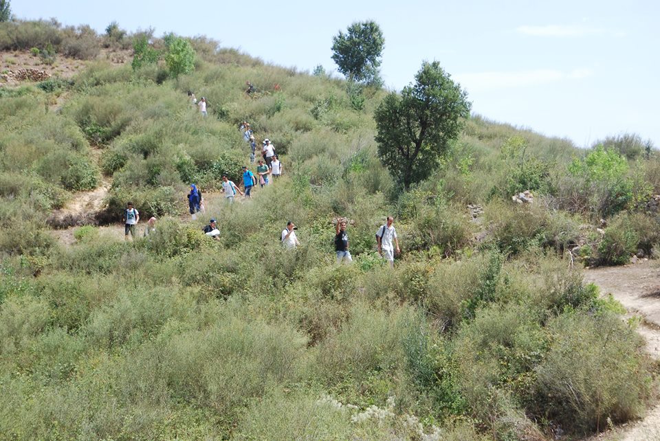 Jijel : Campagne de sensibilisation pour la préservation du couvert végétal