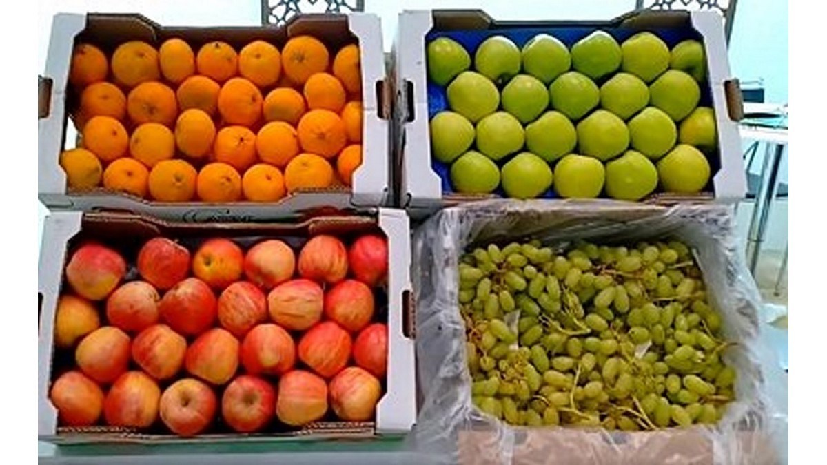 Exportation des produits agricoles : Quelle politique soutenir et quel bilan applaudir ?