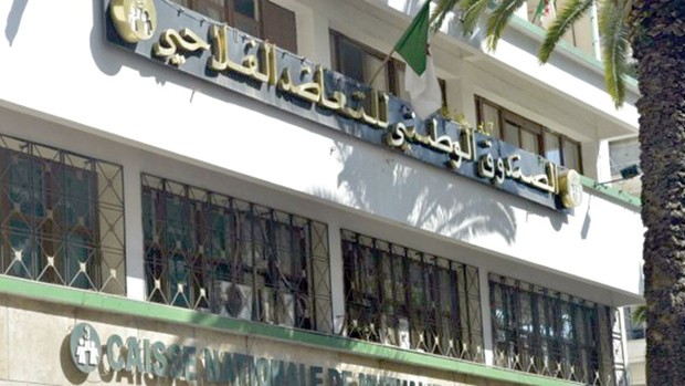 Agriculteurs touchés par les incendies : 105 déclarations de sinistre déposées à la CNMA