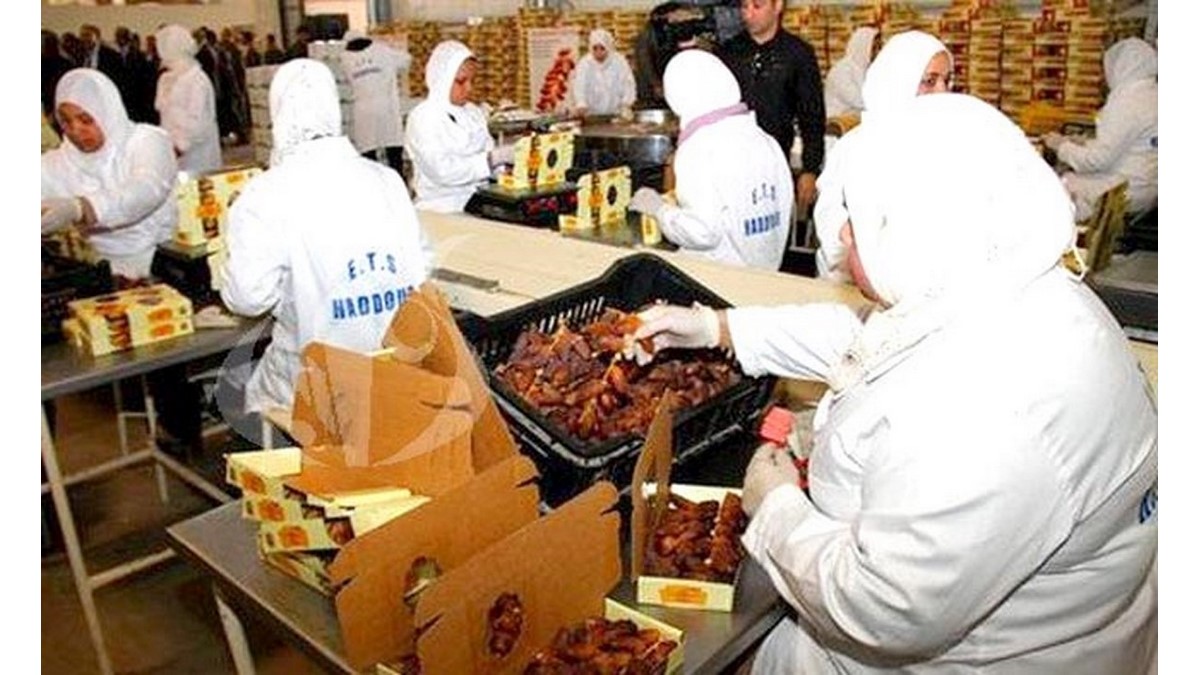 Exportation hors hydrocarbures : Le marché russe s’ouvre à la datte algérienne