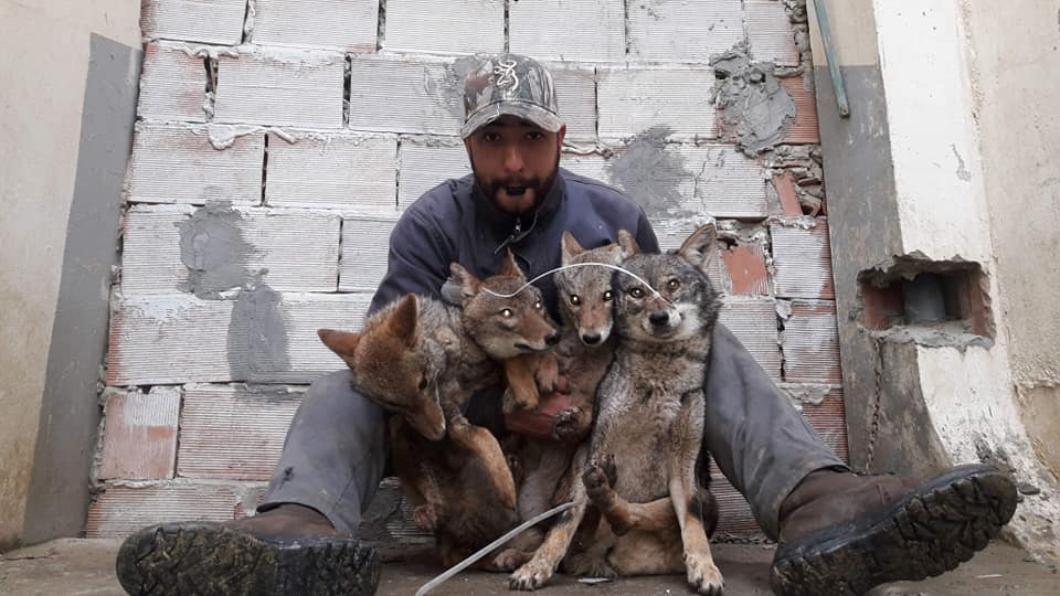 #JeSuisIslam: Vague de solidarité avec un militant de la cause animale, dont les animaux ont été tués