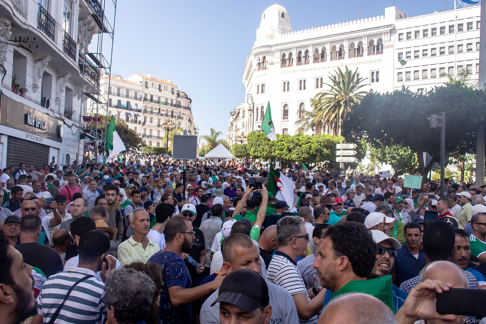 Plus belles photos du 29e vendredi à Alger par Yacine Aouli