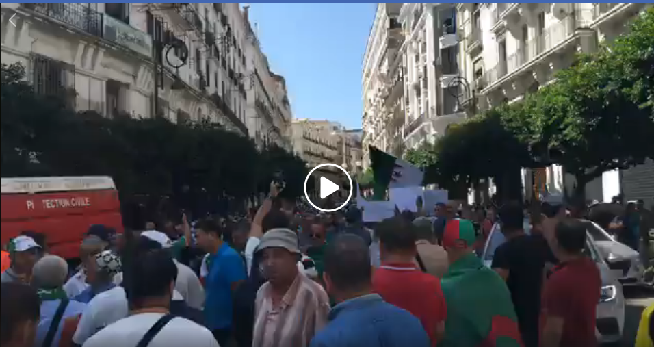 29e vendredi: Midi à peine, Alger centre est déjà la hôte d’un tsunami humain