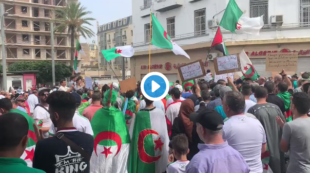 31eme grande manifestation à Oran