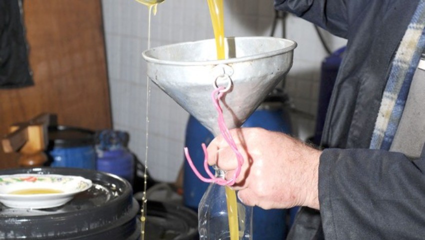 Alors que la Tunisie inaugure son premier centre de formation en oléiculture : L’Algérie regarde brûler ses oliviers