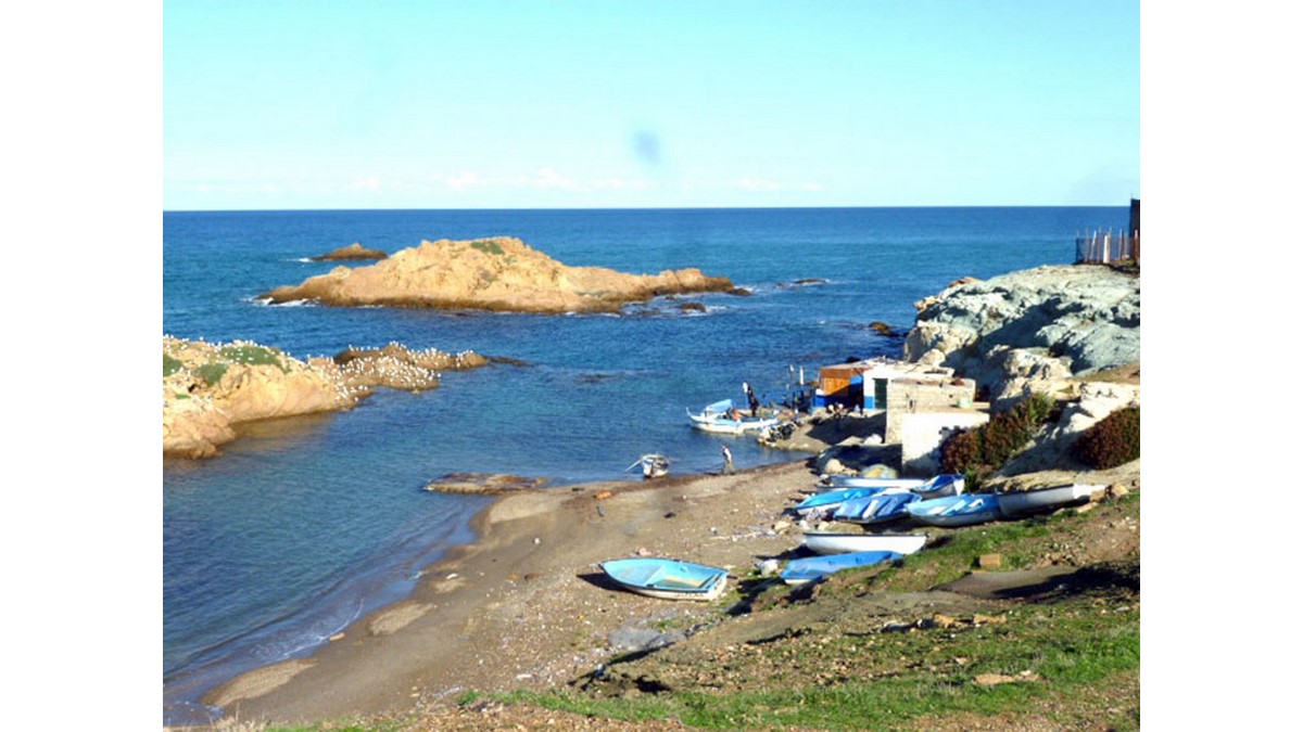 Tipasa : Il faut sauver la biodiversité marine de Hamdania, site du futur port commercial