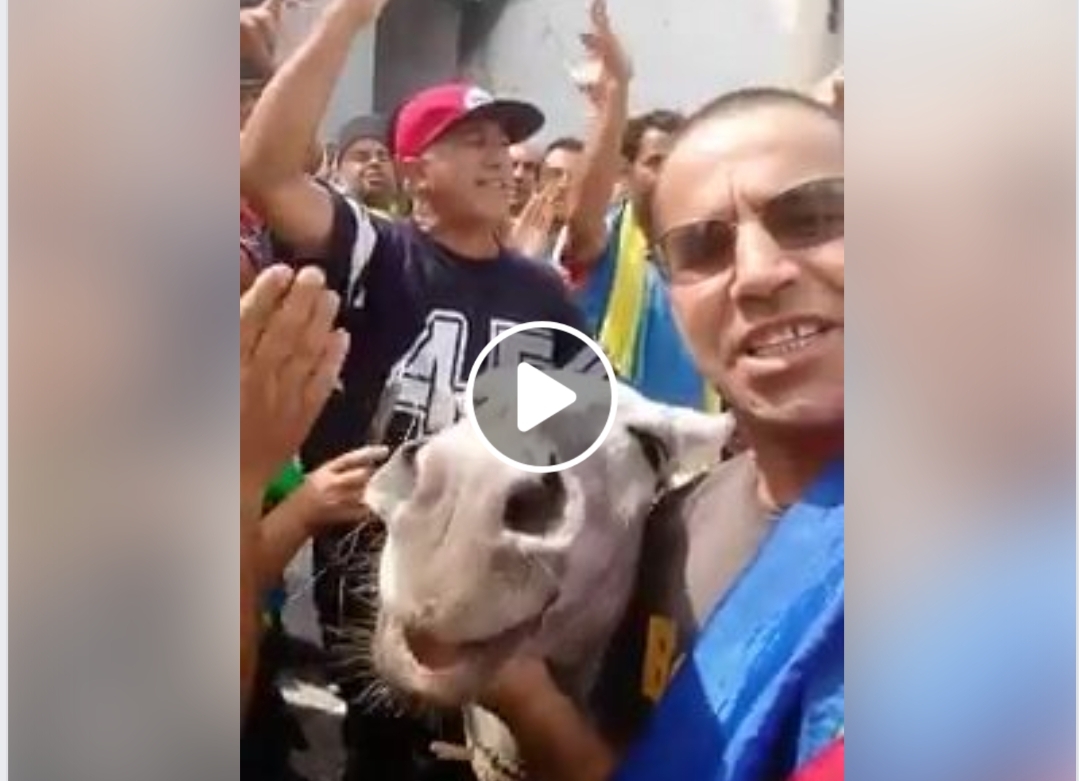 Vidéo – Un manifestant demain devant la justice pour avoir ramené un âne à la marche de Béjaïa