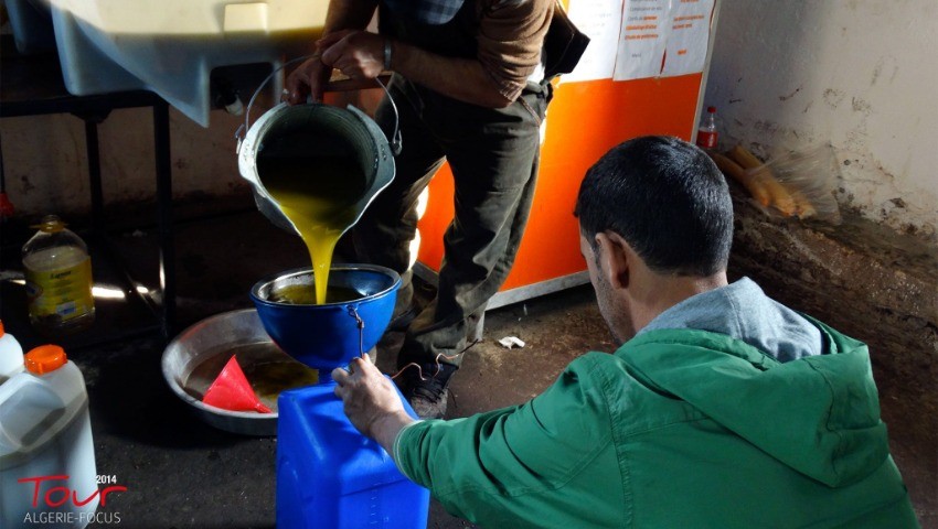 L’huile d’olive de Kabylie se vend dans des conditions lamentables : Le packaging fait défaut