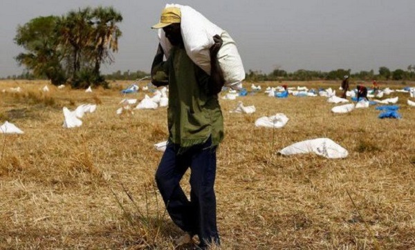 Soudan du Sud : plus de la moitié de la population peine à survivre