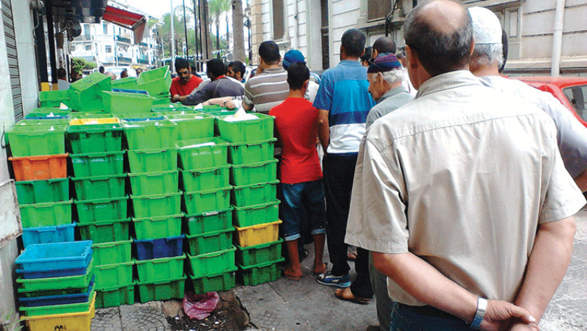 Bouira : La crise du lait persiste