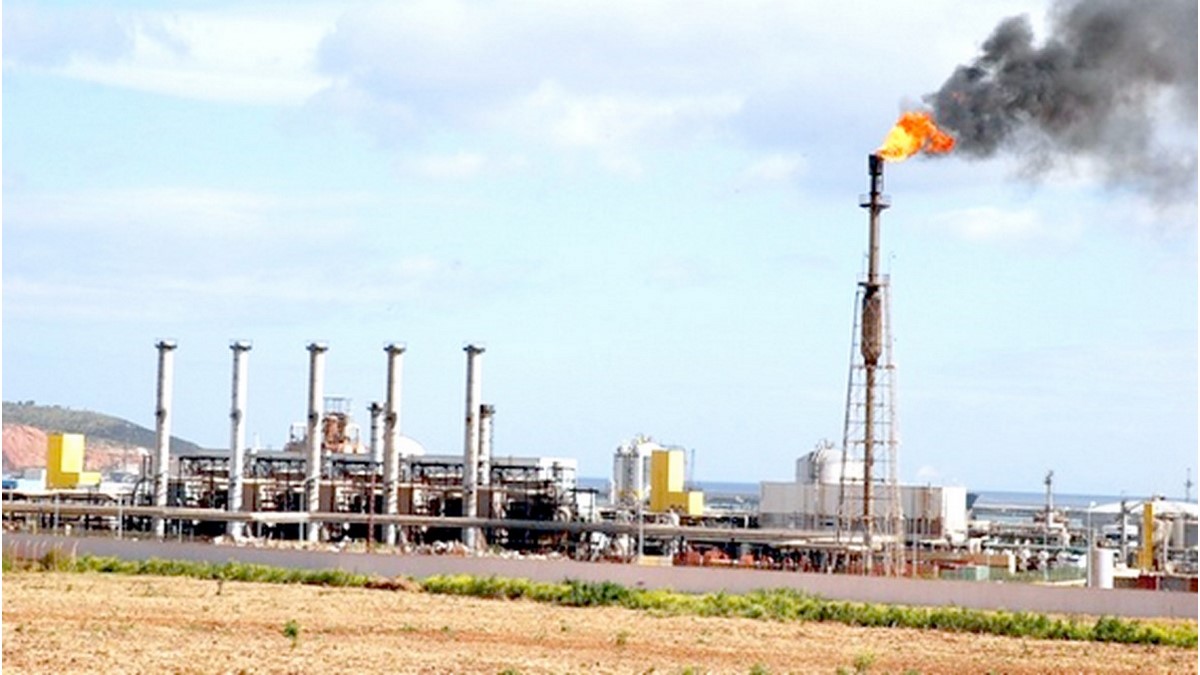 Secteur des hydrocarbures / Situation des partenariats : Sonatrach tire la sonnette d’alarme