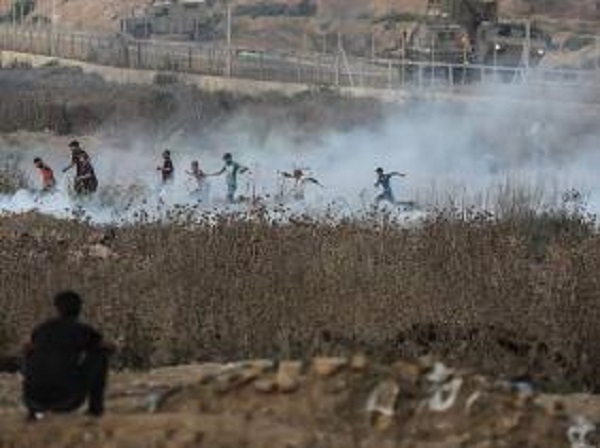 Palestine : 12 personnes tuées et 630 blessées en août