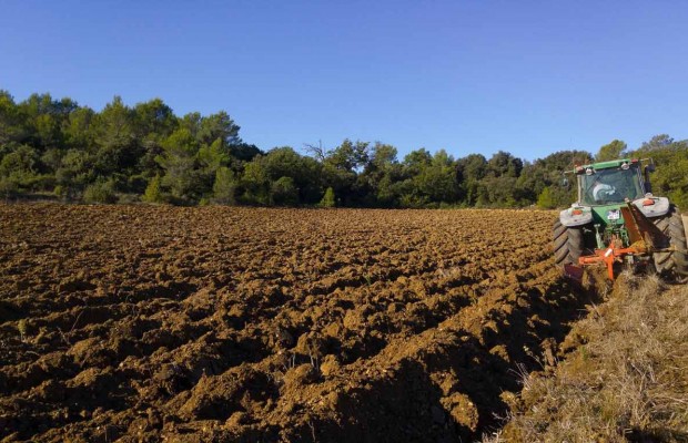 En partenariat avec les canadiens : Un ambitieux projet pour remplacer les engrais chimiques