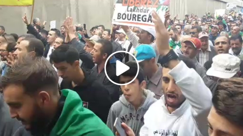 Grandiose démonstration de force du Hirak à Tizi Ouzou