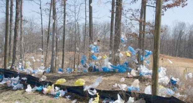 Lutte contre la pollution plastique : Lancement d’une campagne en milieu scolaire à Constantine