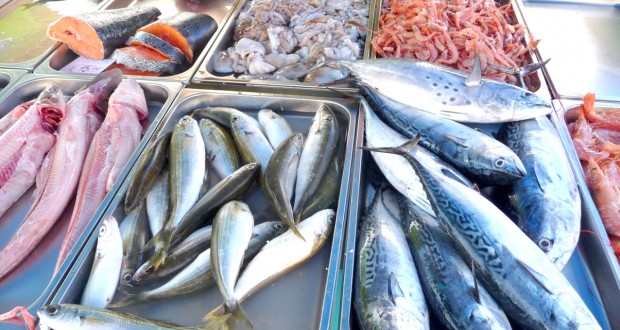 Production de poissons bleus à Boumerdès : Amélioration des captures et instabilité des prix