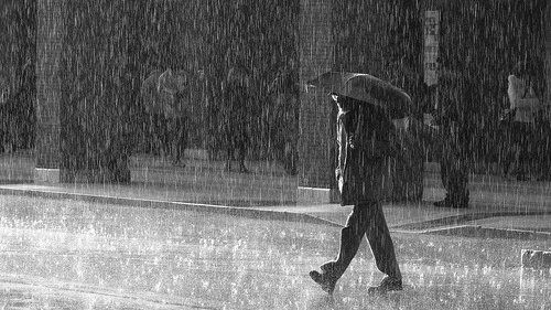 Alerte météo : De fortes averses de pluie sur 4 wilayas du Centre