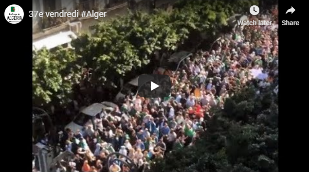 Impressionnantes images de la marche du 1er Novembre à Alger