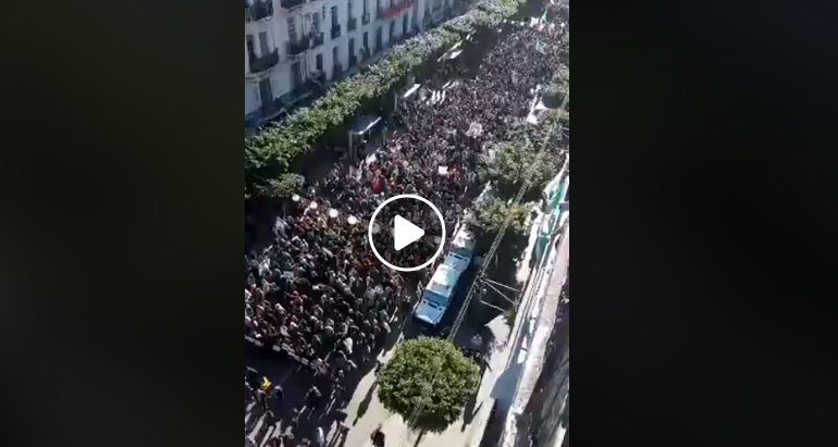 41e vendredi : Une immense foule investit la rue à Alger !