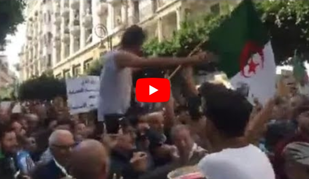 37e Vendredi à Alger : Rachid Nekkaz porté par des manifestants